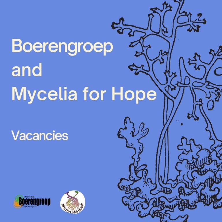 Internship vacancy by Mycelia van Hoop
